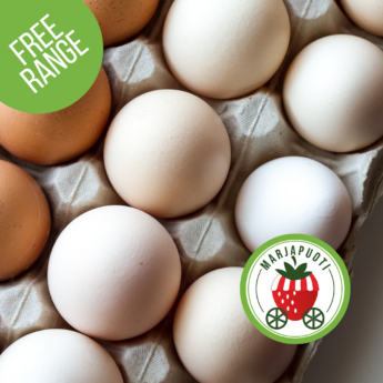 ULKOKANANMUNIA 2 KENNOA (60KPL)