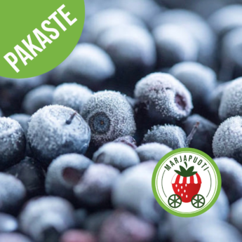 PENSASMUSTIKKA 3 x RAS