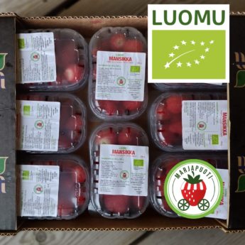 LUOMUMANSIKKA 8 RAS